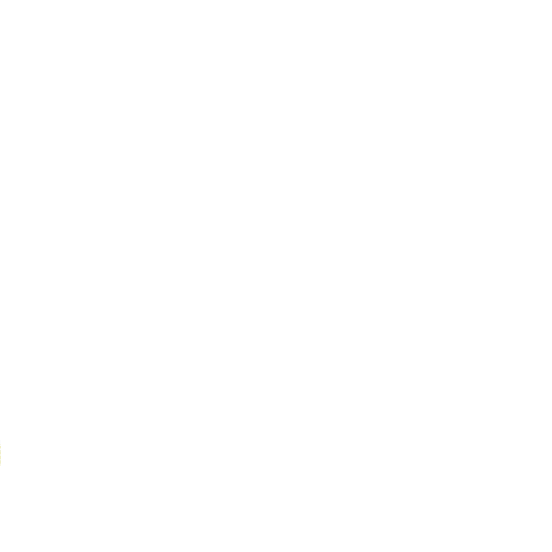paz-sac